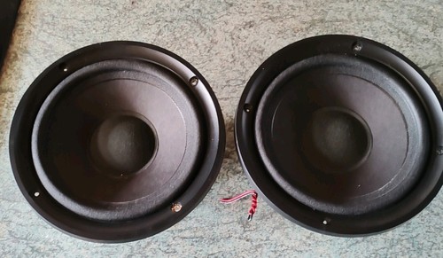 Genuine pair bose - of,